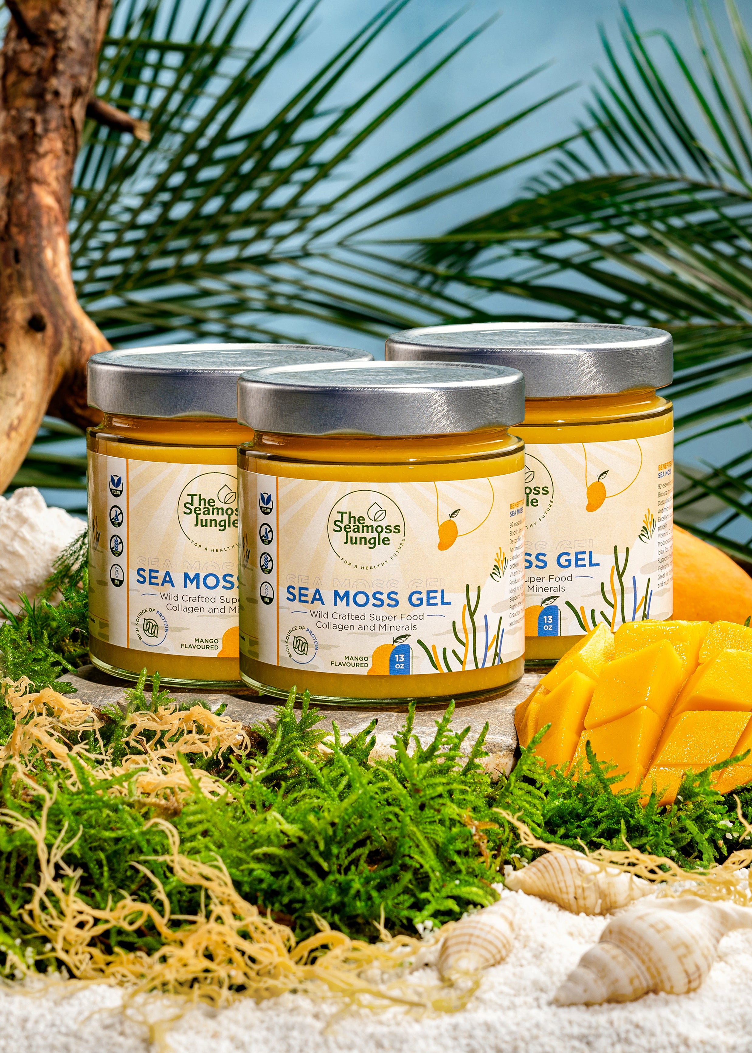 Sea Moss Gel - 3er-Pack