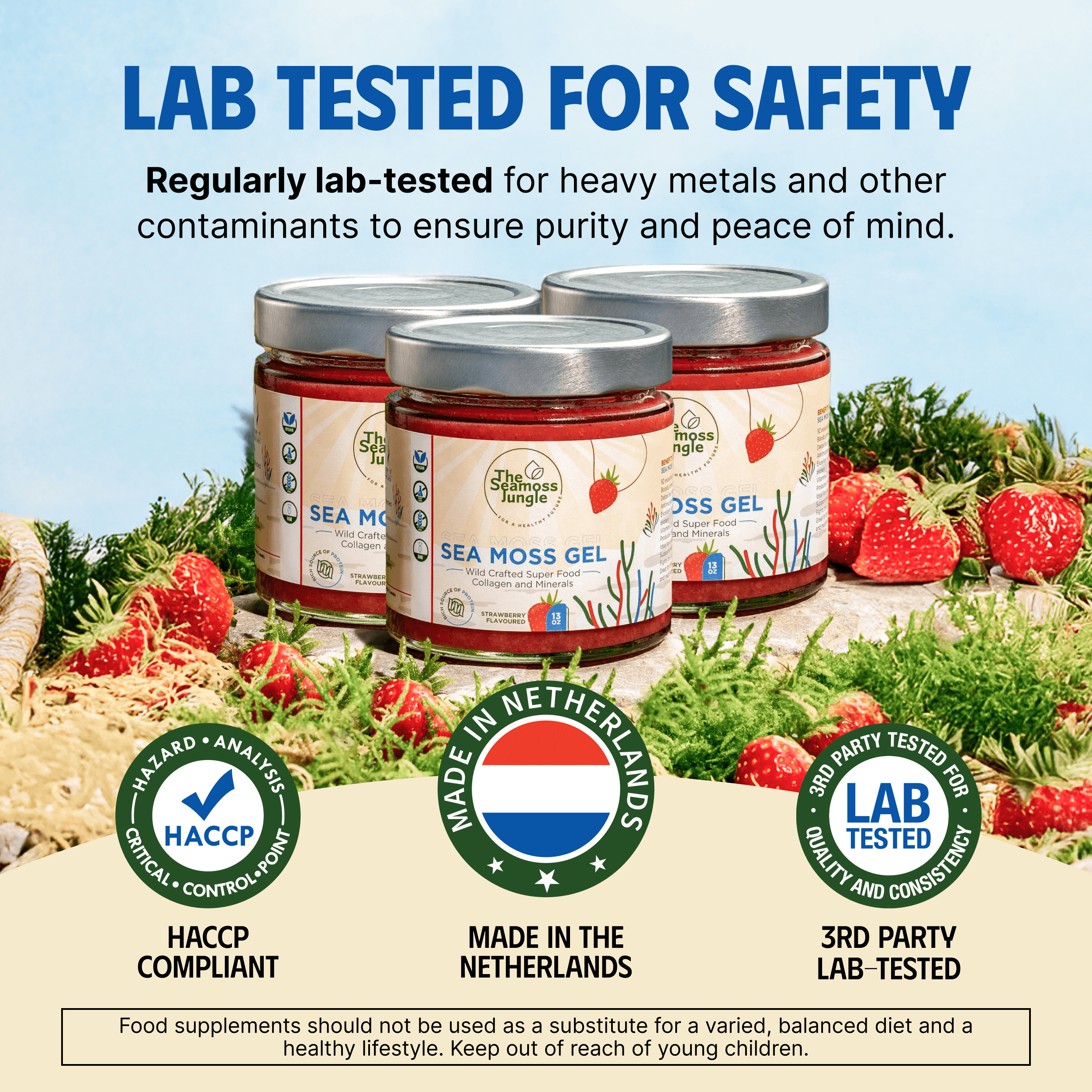 Sea Moss Gel - 3er-Pack